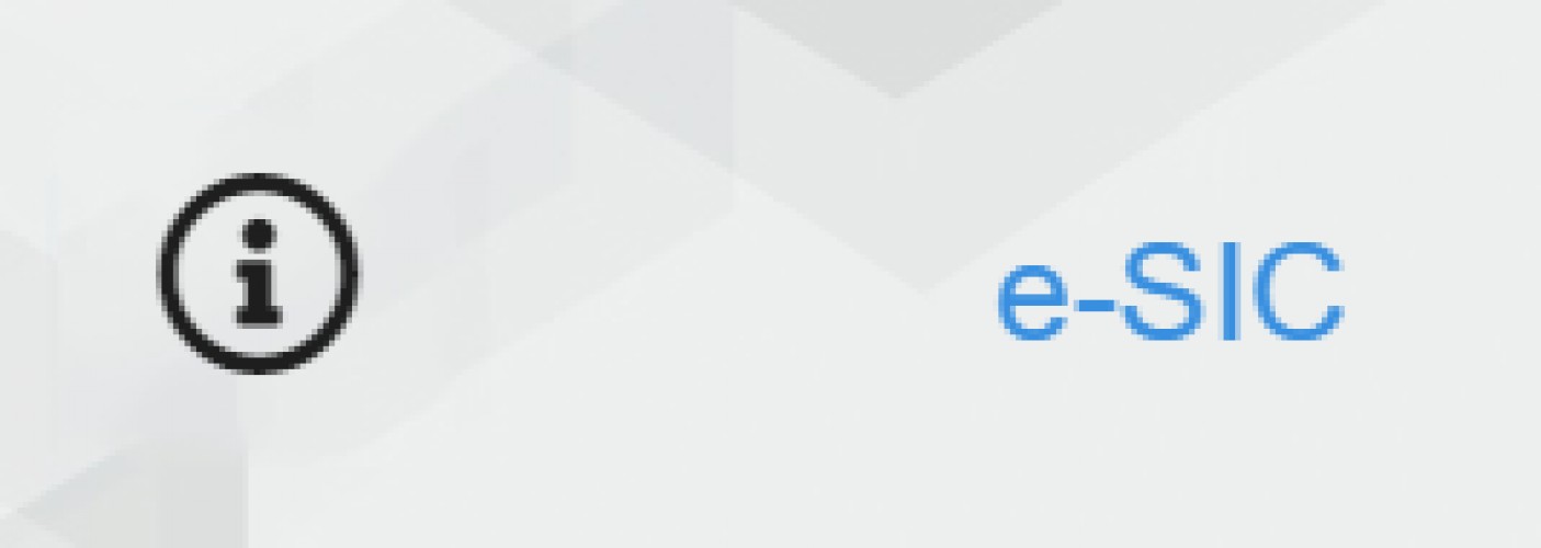 Acesso à informação e-SIC